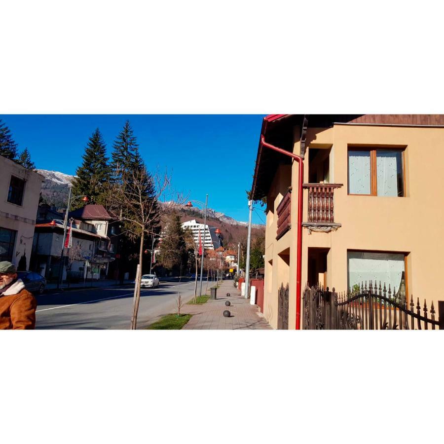Vaso Apartament Sinaia Exterior photo