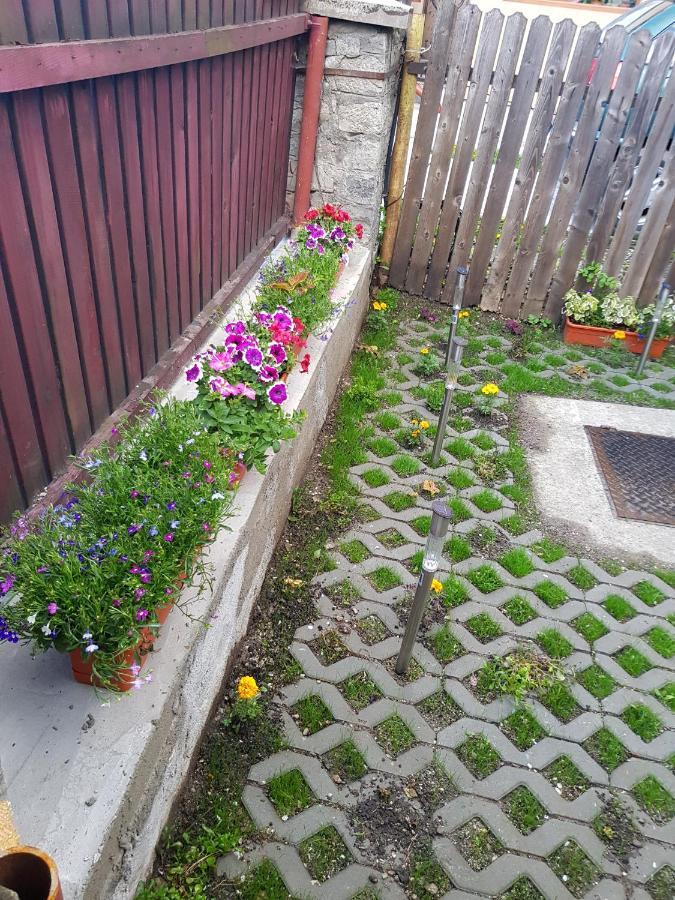 Vaso Apartament Sinaia Exterior photo